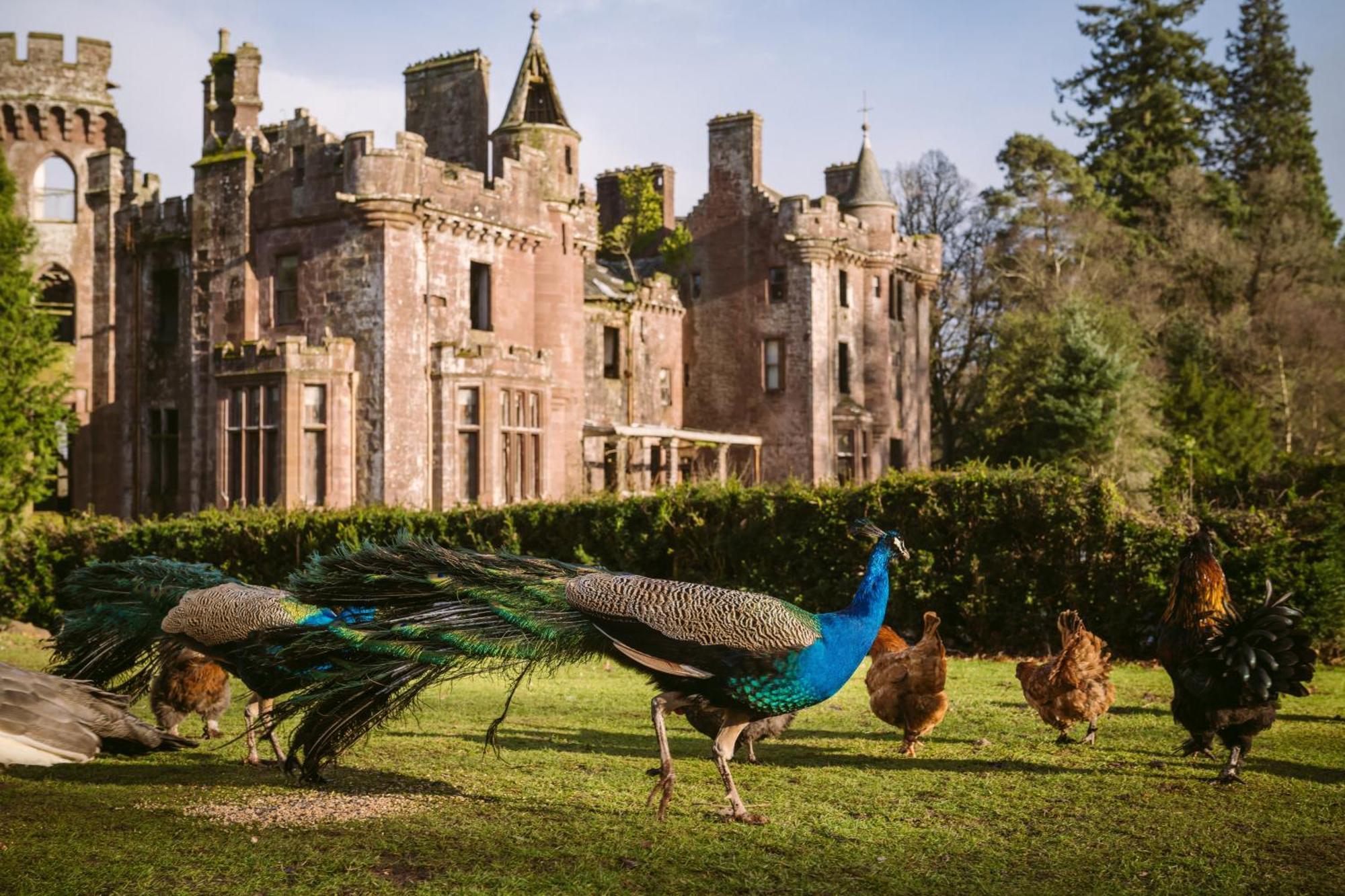 Luxury Woodland Lodge Retreat At Culdees Castle Crieff Eksteriør billede